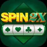 Spin 2X